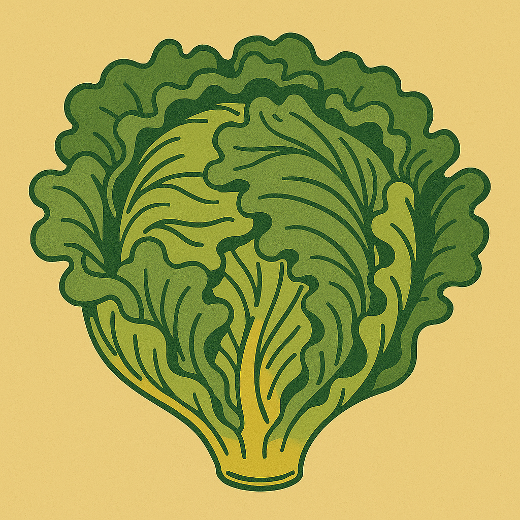 Lettuce